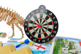 Weltreise 24 Monate Komplettpaket Dartscheibe