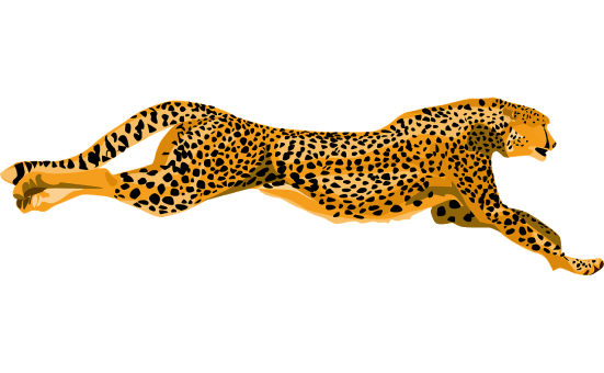 Gepard