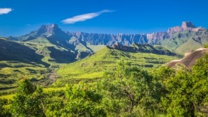 Pflanzenwelt Südafrika